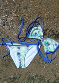 Bikini Oseyan